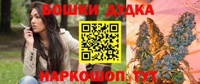 стаф Бийск