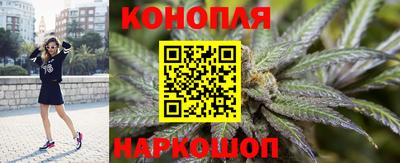 стаф Бийск